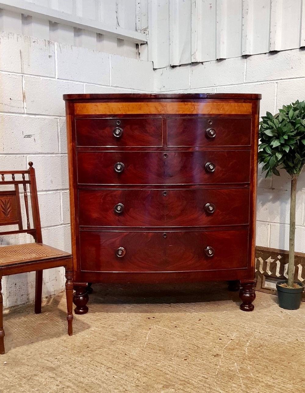 Antique Victorian Mahogany Satin Birch Bow Front Chest Of