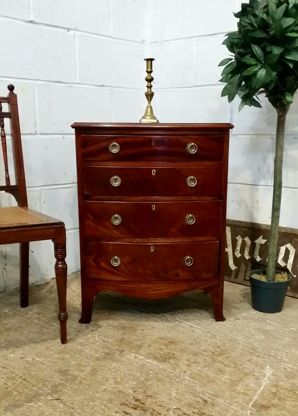 antique small edwardian mahogany bow front chest of drawers c1900