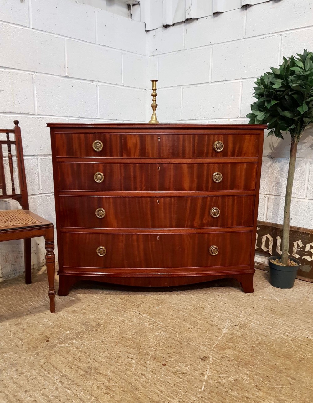 antique edwardian mahogany bow front chest of drawers c1900