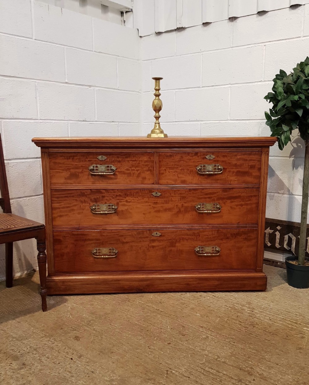 antique edwardian satinwood satin birch chest of drawers c1900