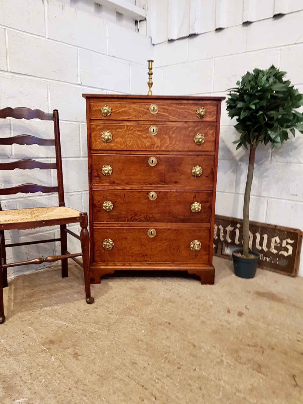 Antique Regency Tall Narrow Oak Chest Of Drawers C1820 625316